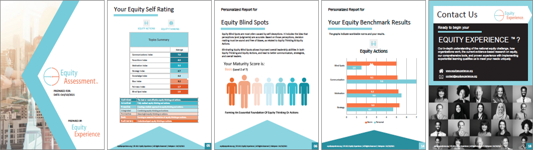 Equity Diversity and Inclusion Assessment
