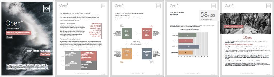 Operations Efficiency Assessment