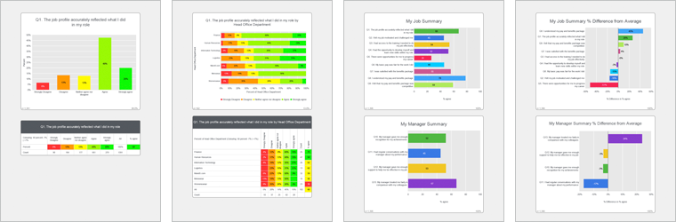 Thumbnails for Automated Survey Reporting